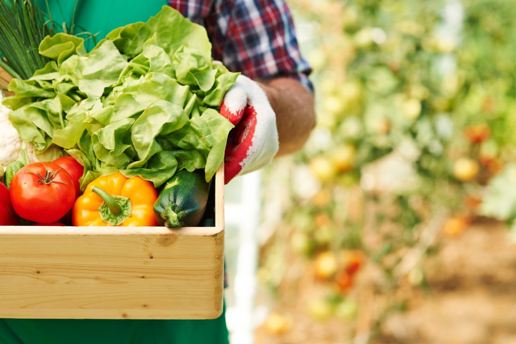 Marché de producteurs locaux